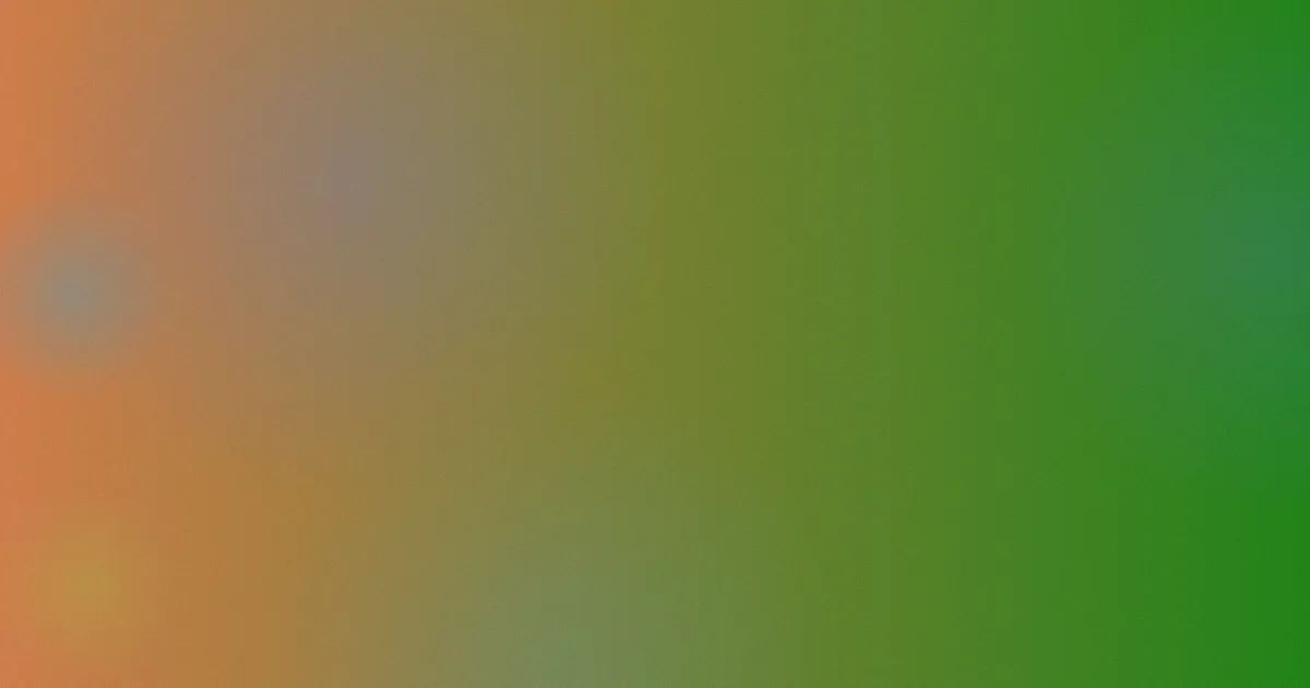 魔术扑克避坑：别再乱买